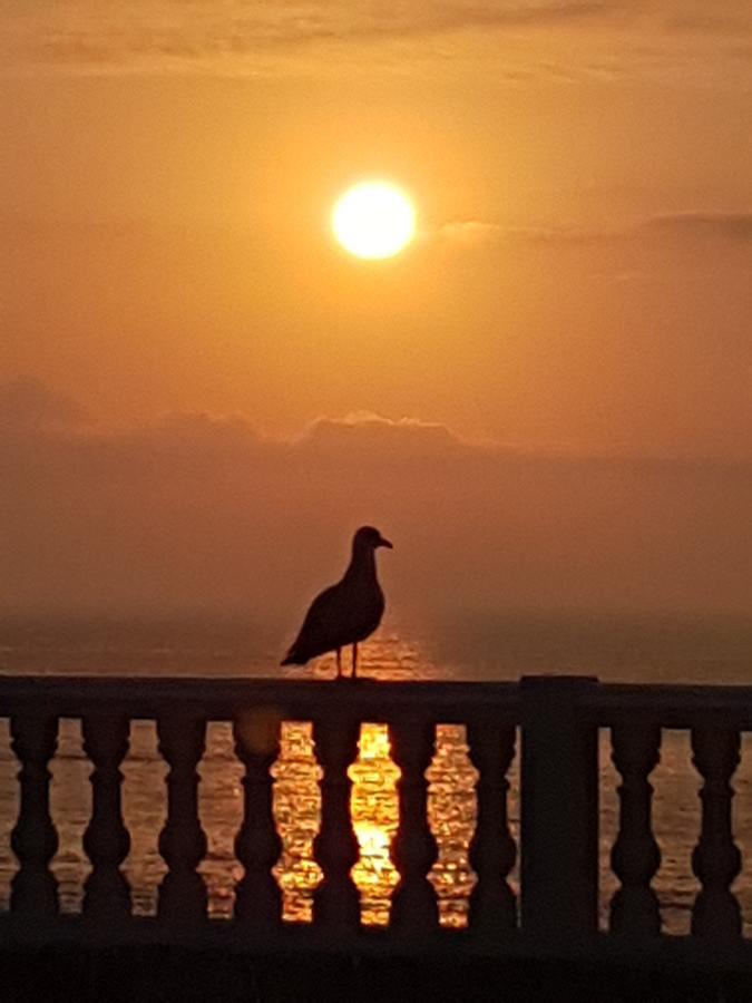 Jawharat Tetouan Apartment Souani  Bagian luar foto